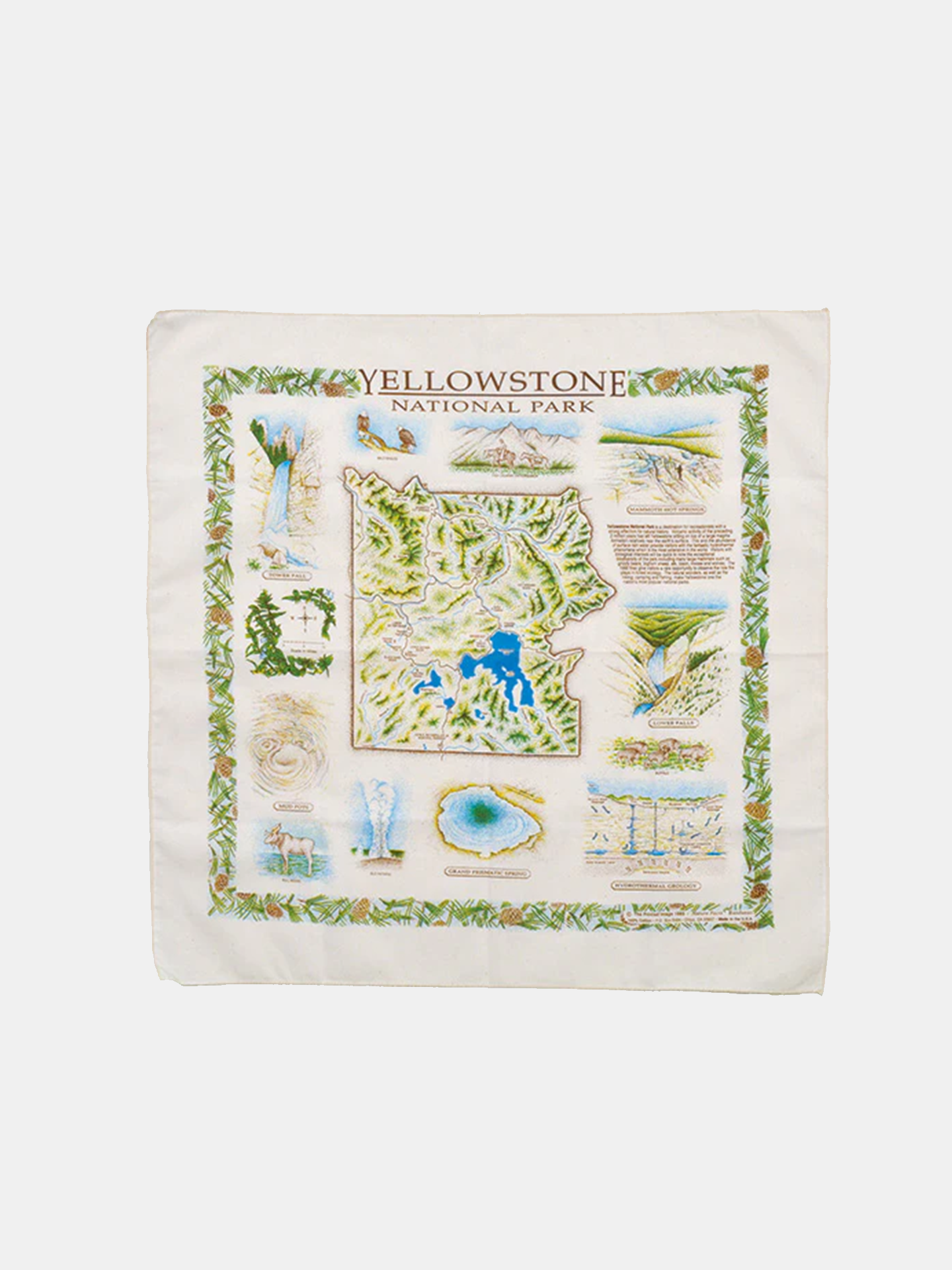 The Printed Image Bandana