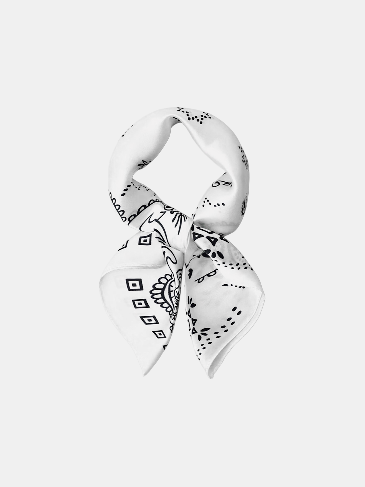Paisley Scarf