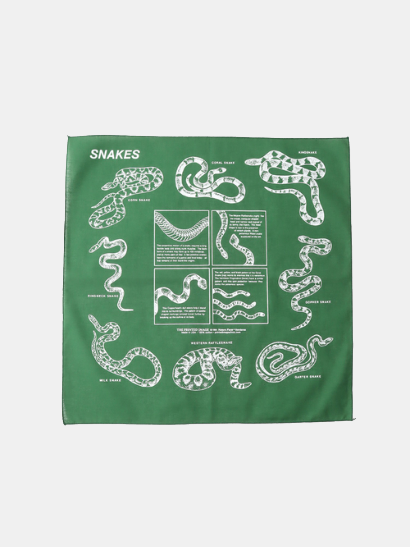 The Printed Image Bandana