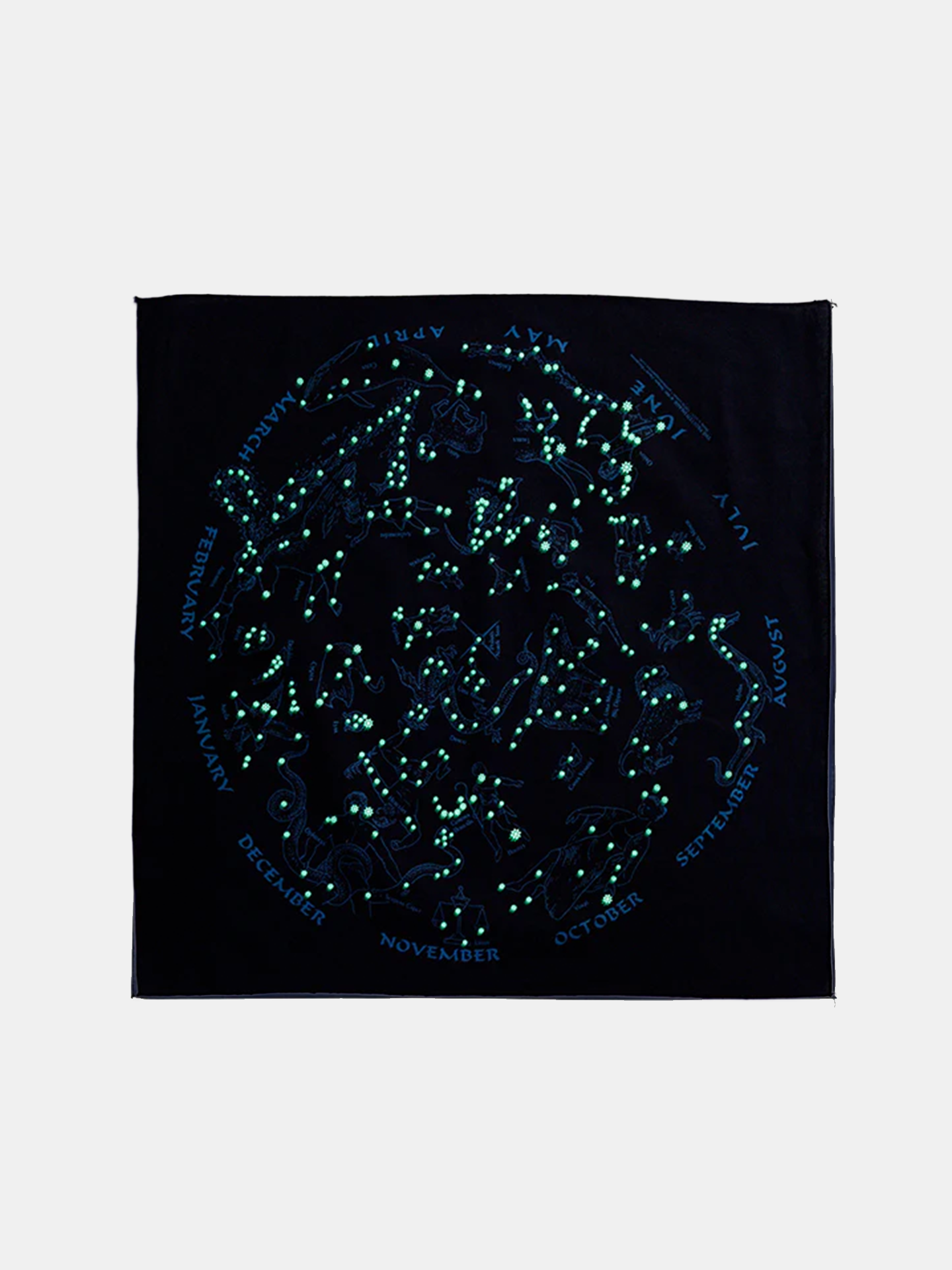 The Printed Image Bandana